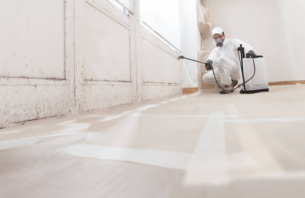 24/7 Emergency Attic Mold Removal experts in Camden, NJ
