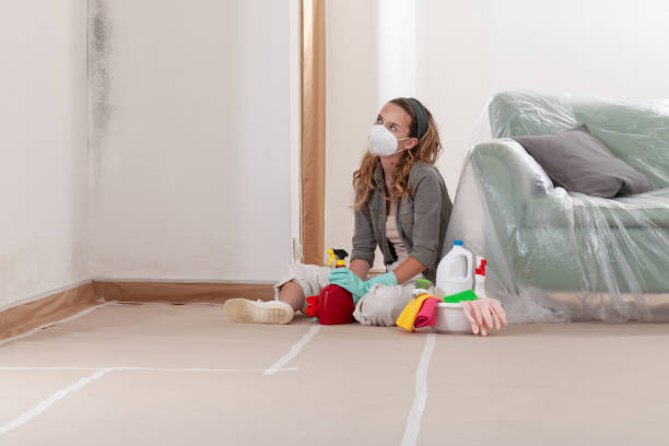 Reliable Mold Remediation contractor in Camden, NJ by Cheap Mold Removal